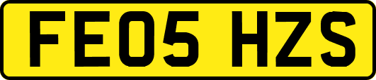 FE05HZS