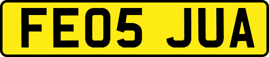 FE05JUA