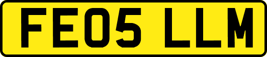 FE05LLM