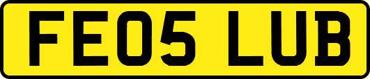 FE05LUB