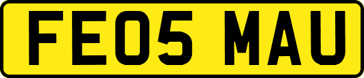 FE05MAU