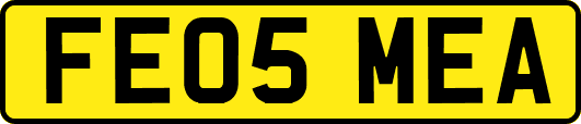 FE05MEA