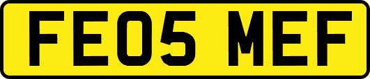 FE05MEF