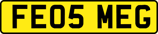 FE05MEG