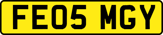 FE05MGY