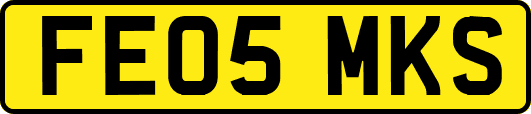 FE05MKS