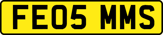 FE05MMS