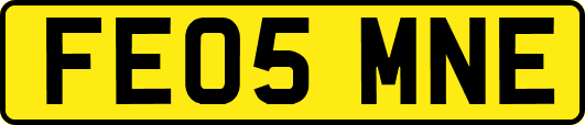 FE05MNE