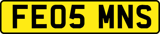 FE05MNS