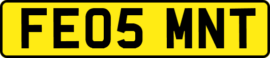 FE05MNT