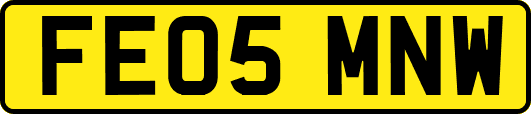 FE05MNW