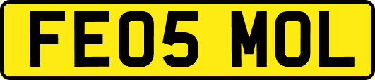 FE05MOL