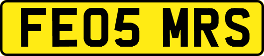 FE05MRS