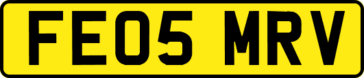 FE05MRV