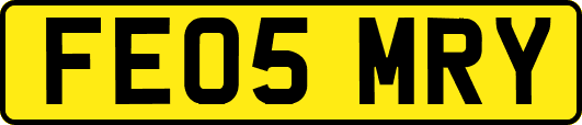 FE05MRY