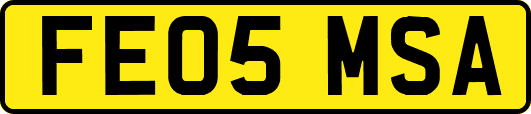 FE05MSA