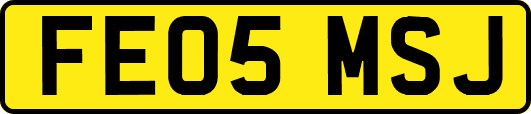 FE05MSJ