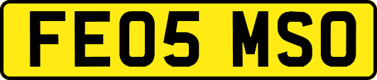 FE05MSO