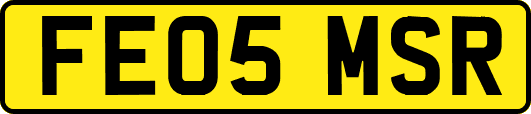 FE05MSR