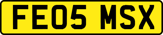 FE05MSX