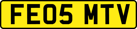 FE05MTV