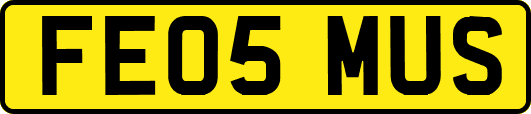 FE05MUS
