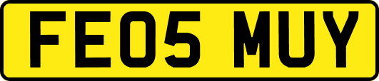 FE05MUY