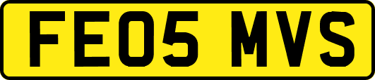 FE05MVS