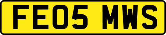 FE05MWS