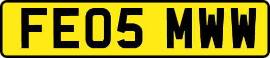 FE05MWW