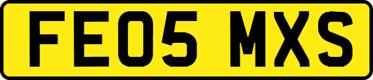 FE05MXS