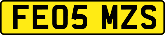 FE05MZS