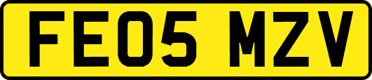 FE05MZV
