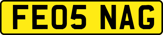 FE05NAG