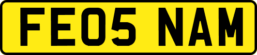 FE05NAM