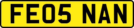 FE05NAN