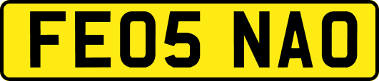 FE05NAO