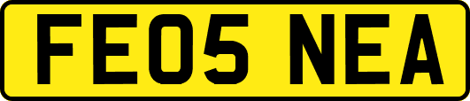 FE05NEA