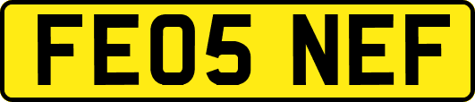 FE05NEF