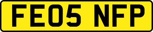 FE05NFP