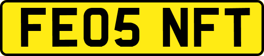 FE05NFT