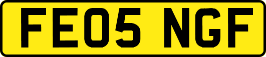 FE05NGF