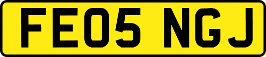 FE05NGJ