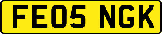 FE05NGK