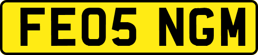 FE05NGM