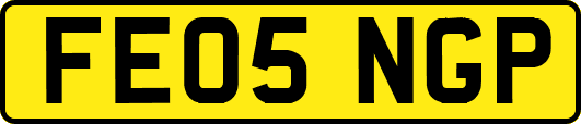 FE05NGP