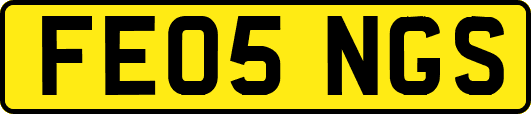 FE05NGS