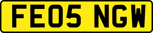 FE05NGW