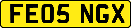 FE05NGX
