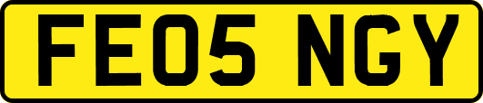 FE05NGY